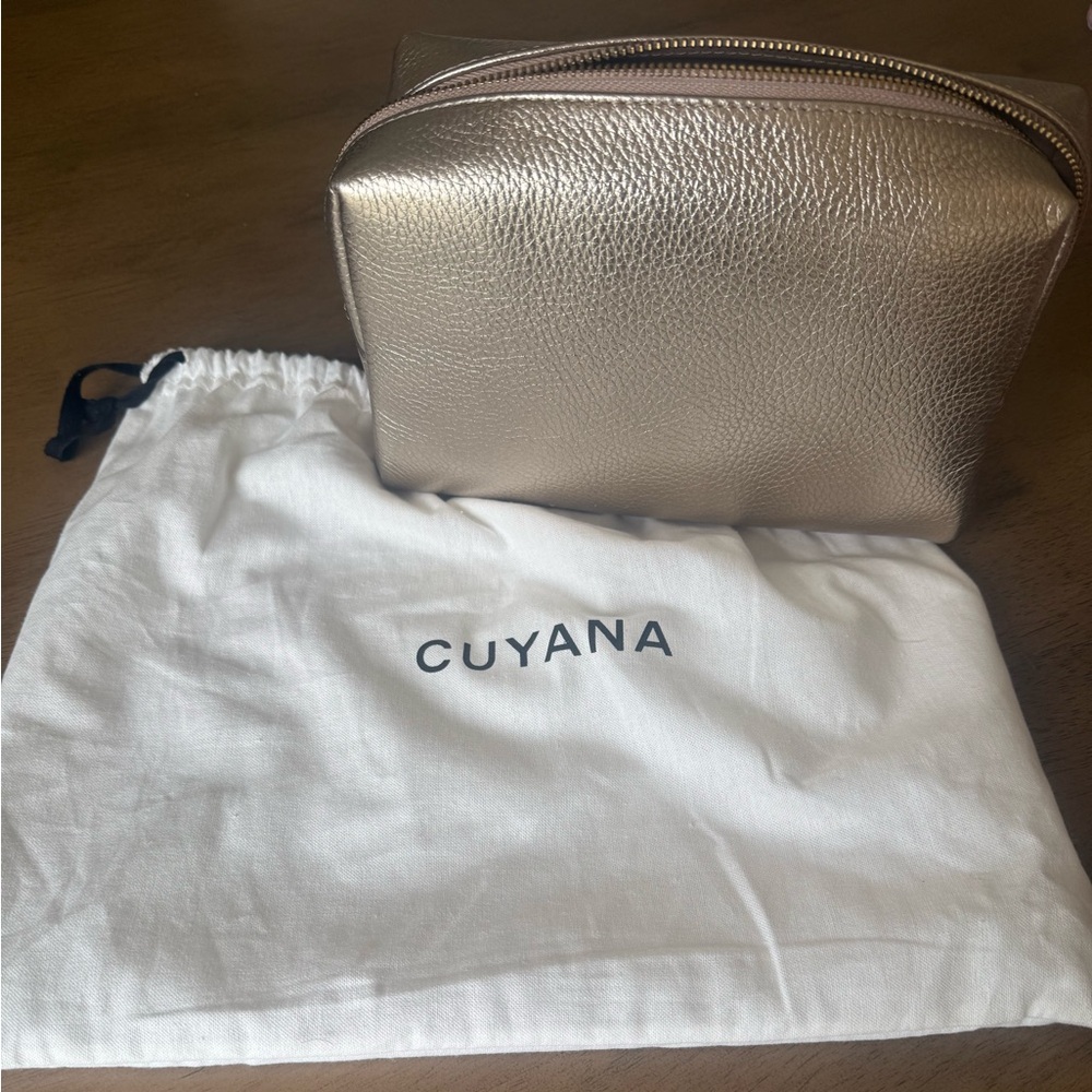 Cuyana Gold Leather Pouch